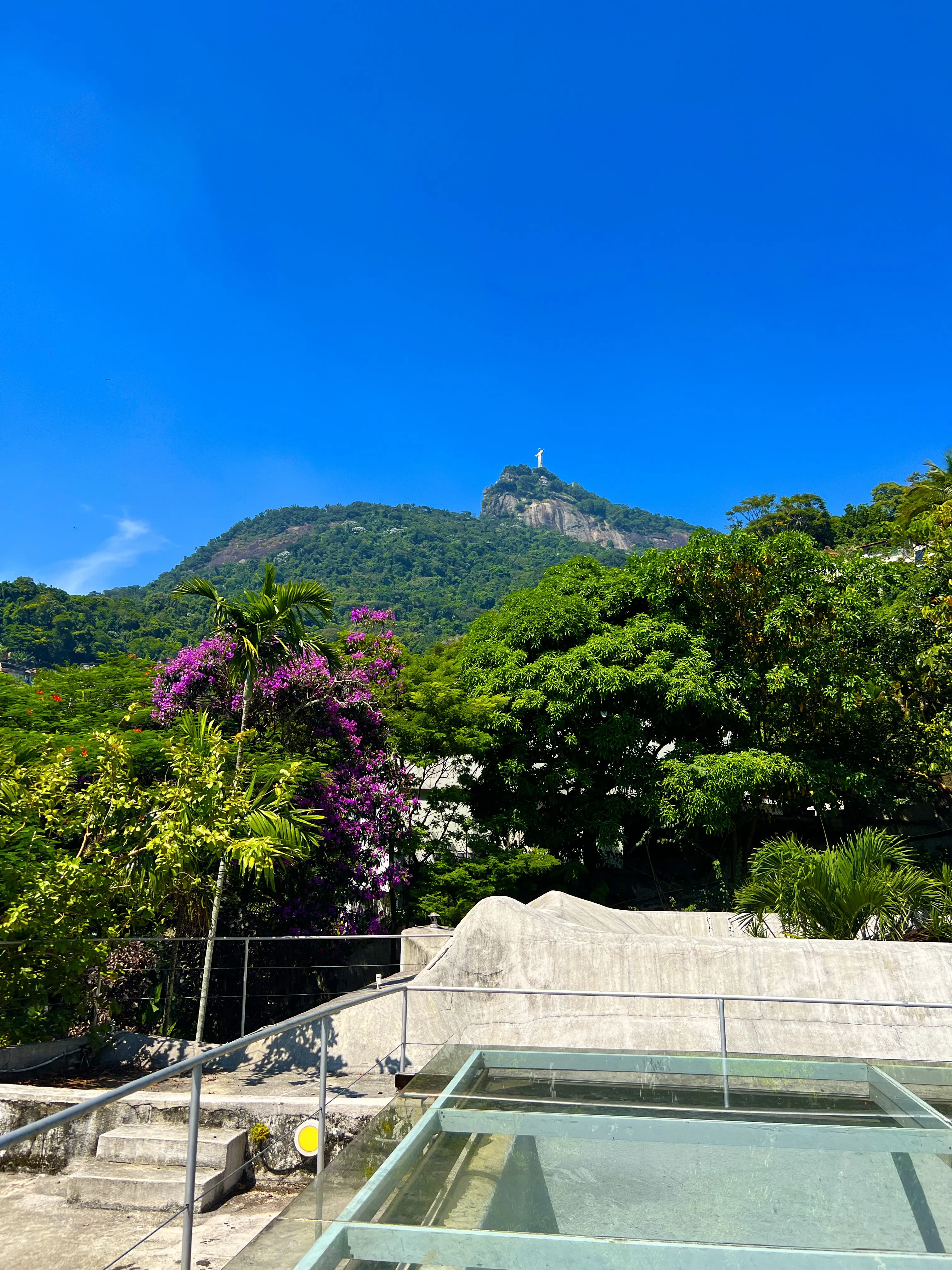Rooftop panoramique
