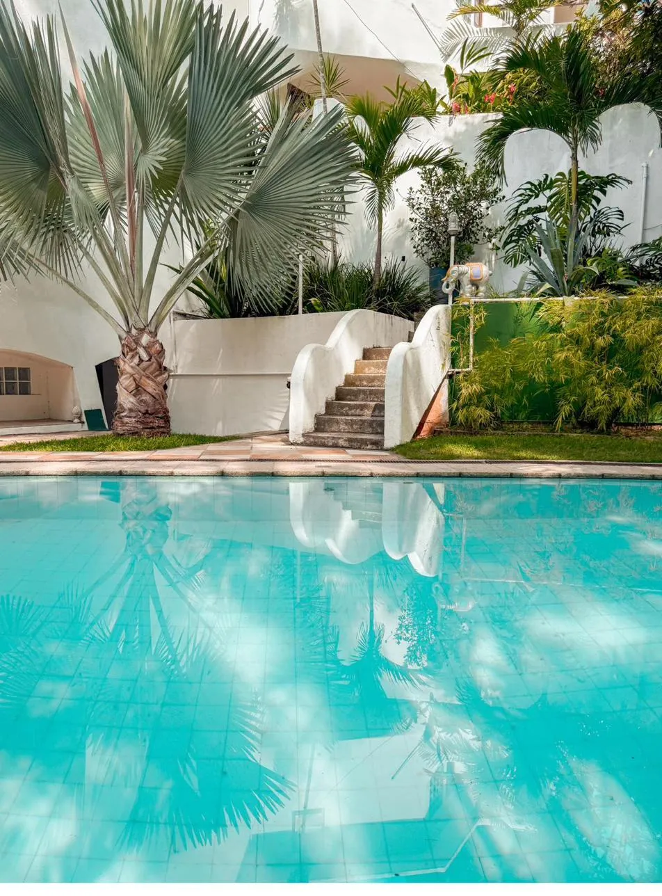 La piscine et la maison