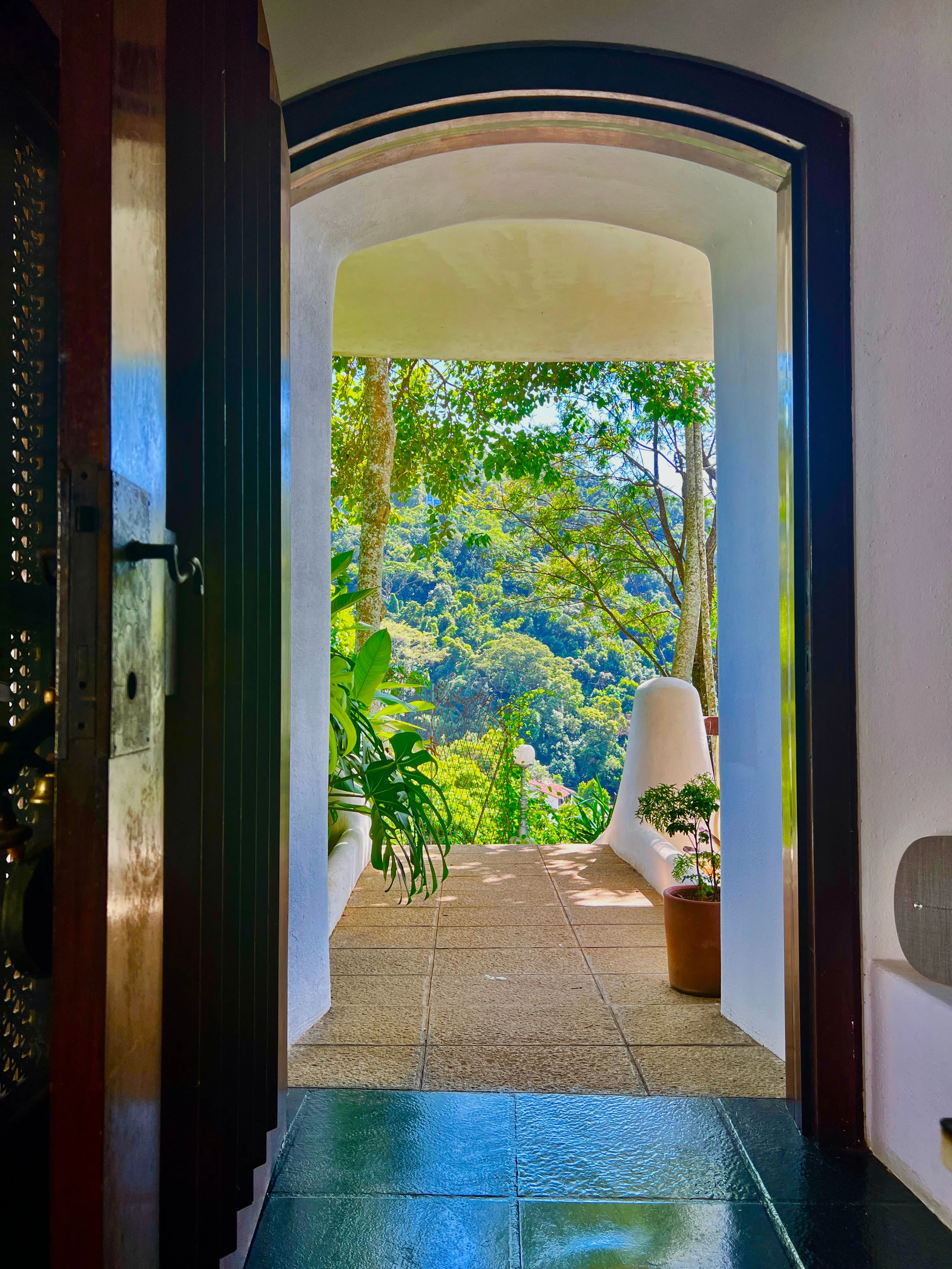 The front door opening onto the valley and the Atlantic Forest